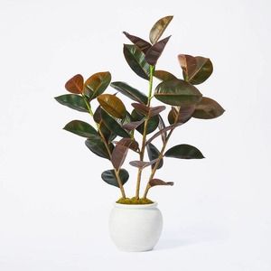 35" Artificial Rubber Tree - Threshold \ Studio McGee